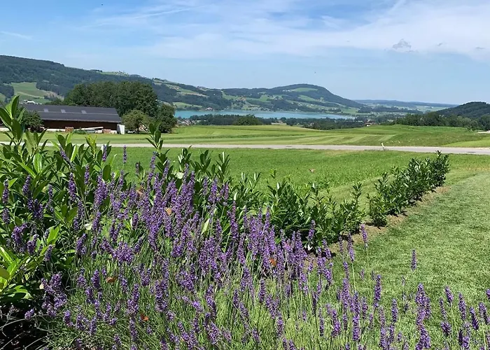 Tolle Mit Seeblick Zell am Moos
